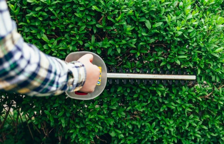 Comment affûter efficacement les lames d’un taille-haie qui ne coupe plus